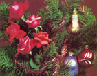 Christmas Wallpapers 308